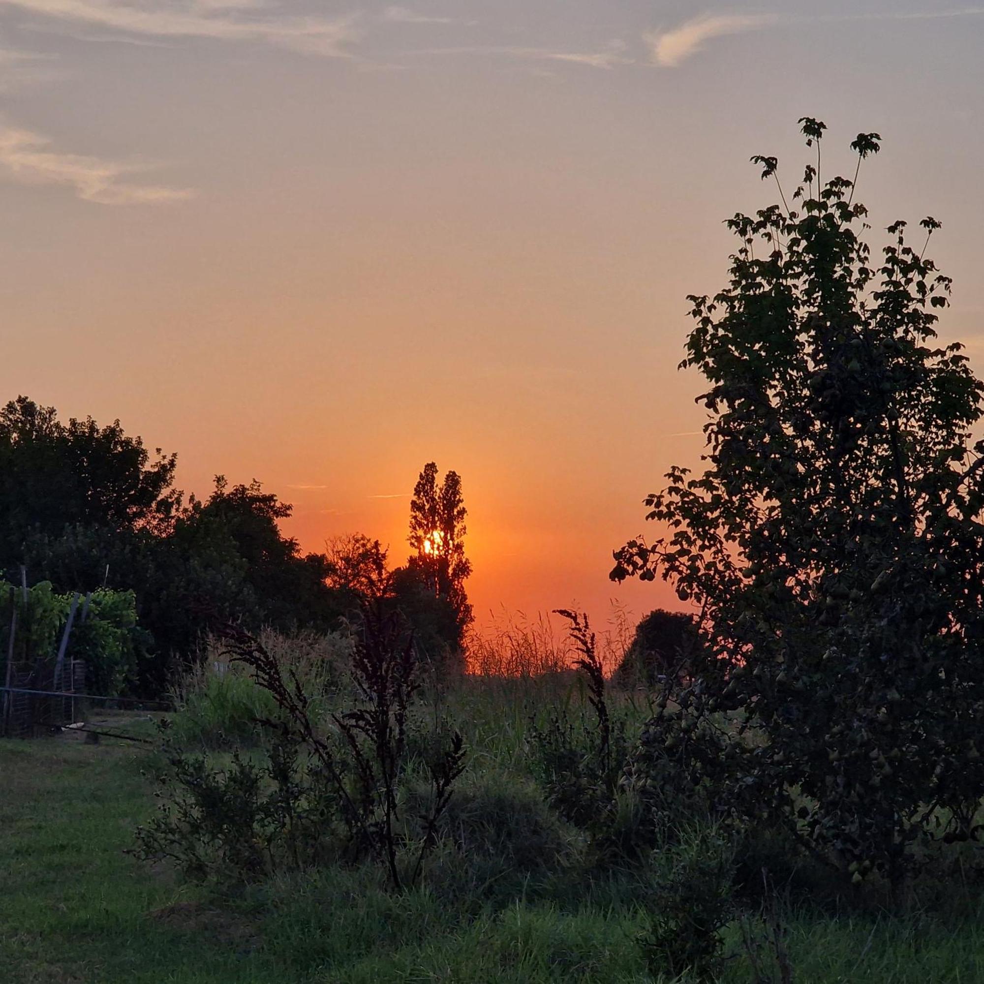 Appartamento Divino Tramonto 알테도 외부 사진